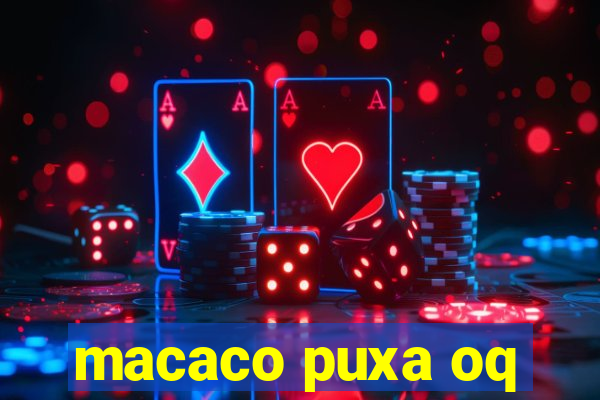 macaco puxa oq